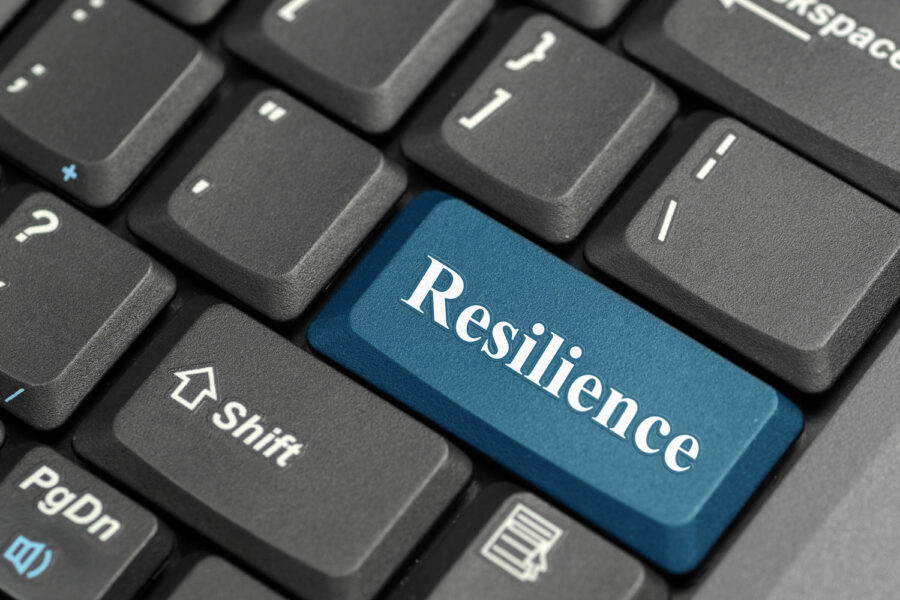 Resiliencia, ciberresiliencia